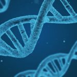 Public Talk о буллёзном эпидермолизе «Генетическое равноправие»